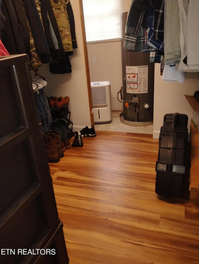 walk in closet with hardwood / wood-style flooring