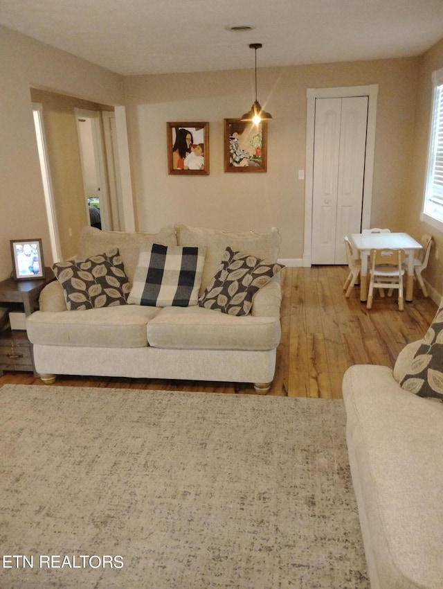 living room with hardwood / wood-style floors