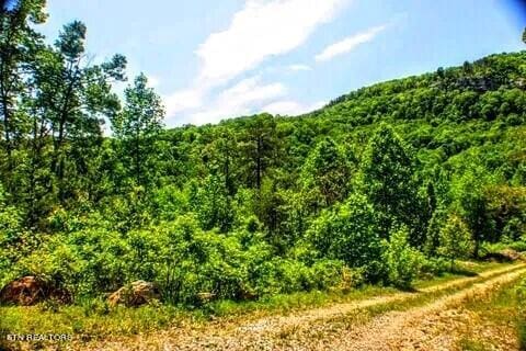 2.2ACRES Blue Sewanee Rd, Dunlap TN, 37327 land for sale