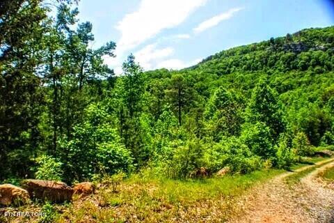 Listing photo 3 for 2.2ACRES Blue Sewanee Rd, Dunlap TN 37327