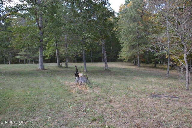 238 Tate Rd, Crossville, TN 38571 - photo 46