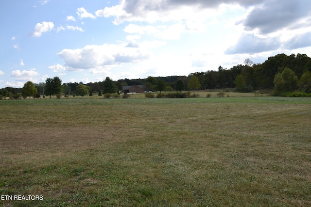 view of local wilderness featuring a rural view