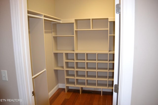 spacious closet featuring dark hardwood / wood-style flooring