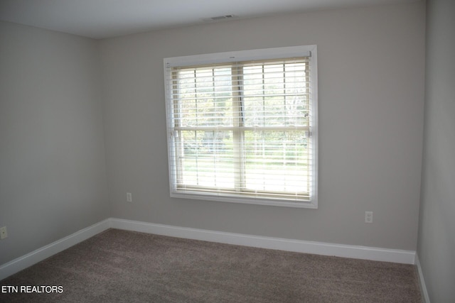 carpeted spare room with a healthy amount of sunlight