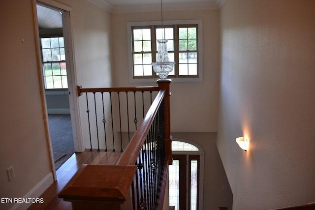 staircase with crown molding and hardwood / wood-style flooring