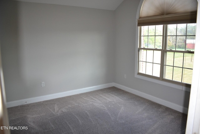 empty room with carpet and a wealth of natural light