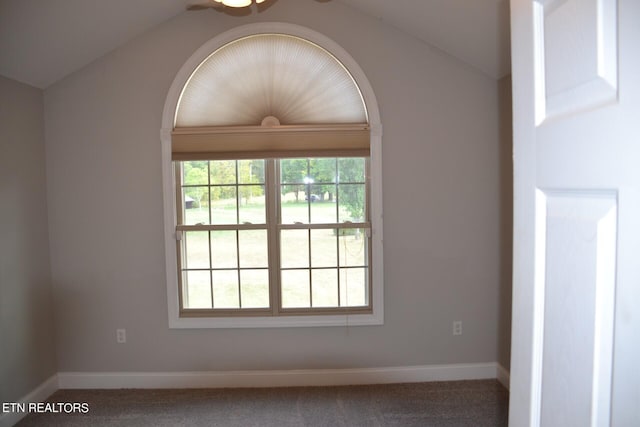 empty room featuring vaulted ceiling and carpet