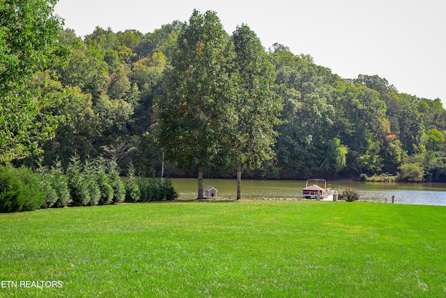 view of yard featuring a water view