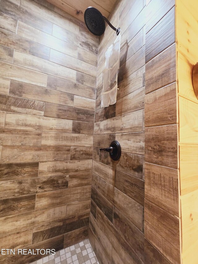 room details featuring walk in shower and wood walls