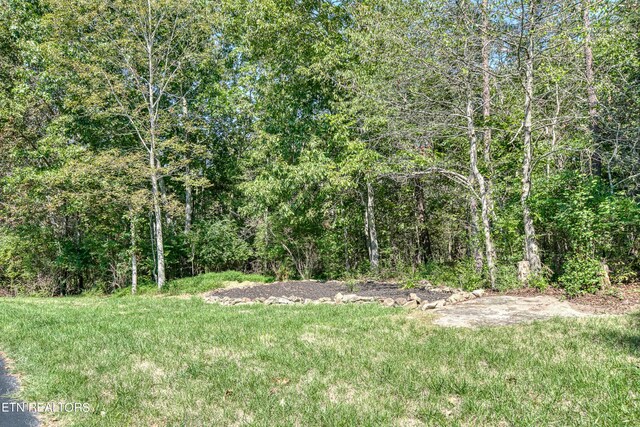 435 Magnolia Ln, Crossville, TN 38555 - photo 58