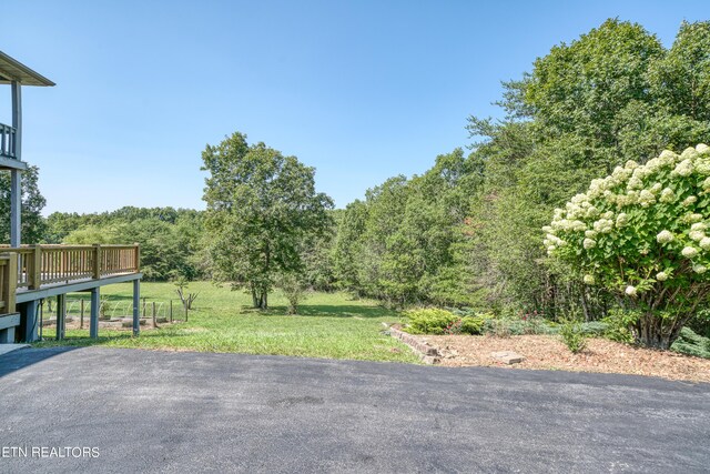 435 Magnolia Ln, Crossville, TN 38555 - photo 56