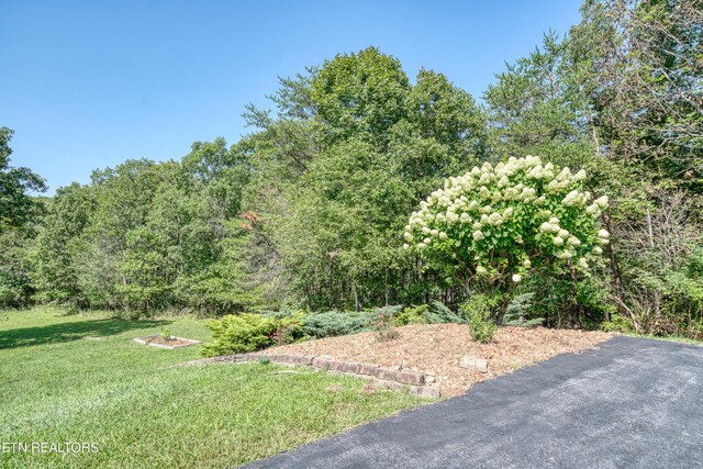 435 Magnolia Ln, Crossville, TN 38555 - photo 55