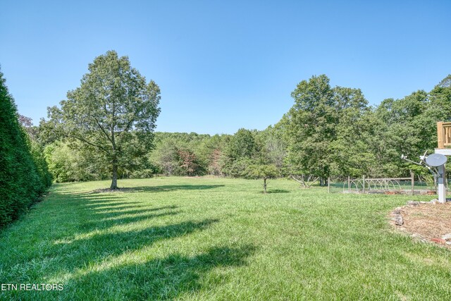 435 Magnolia Ln, Crossville, TN 38555 - photo 57