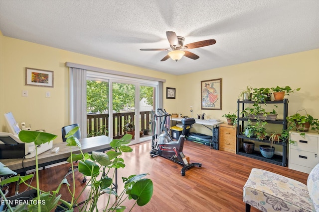 exercise room with a textured ceiling, hardwood / wood-style floors, and ceiling fan