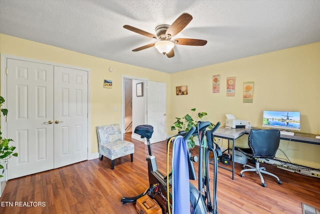 office featuring ceiling fan, a textured ceiling, and light wood-type flooring