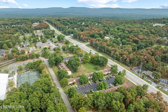 bird's eye view featuring a mountain view