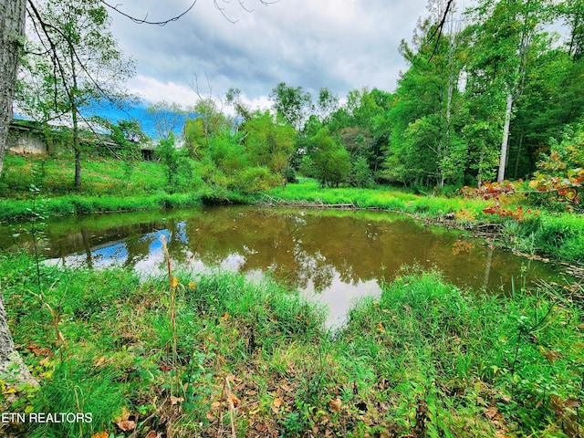 2511 Old Harriman Hwy, Harriman TN, 37748 land for sale