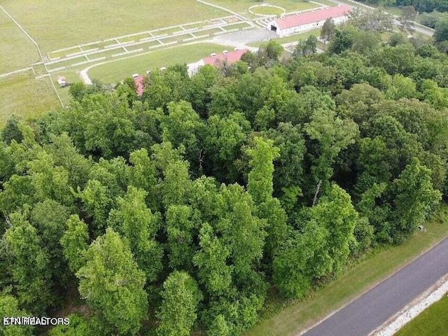 Listing photo 3 for 371 Walking Horse Trl, Rockwood TN 37854