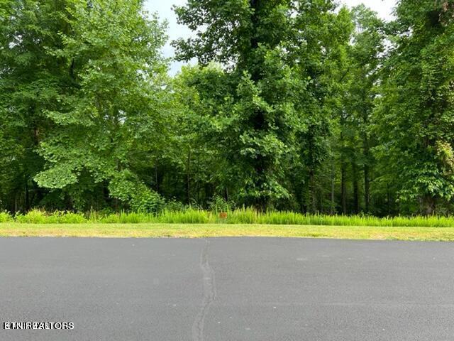 371 Walking Horse Trl, Rockwood TN, 37854 land for sale