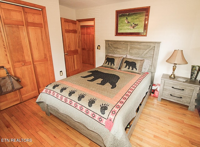 bedroom featuring light hardwood / wood-style flooring