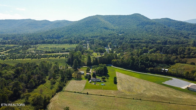 birds eye view of property featuring a mountain view and a rural view