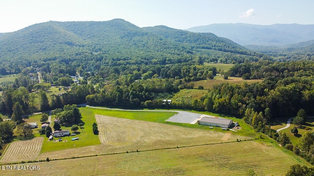 drone / aerial view with a rural view and a mountain view