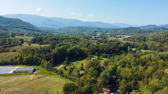 bird's eye view featuring a rural view and a mountain view