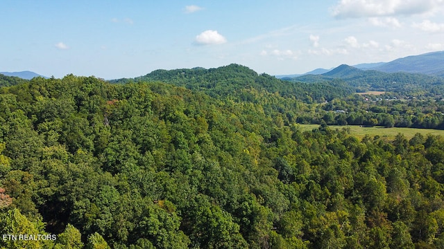 property view of mountains