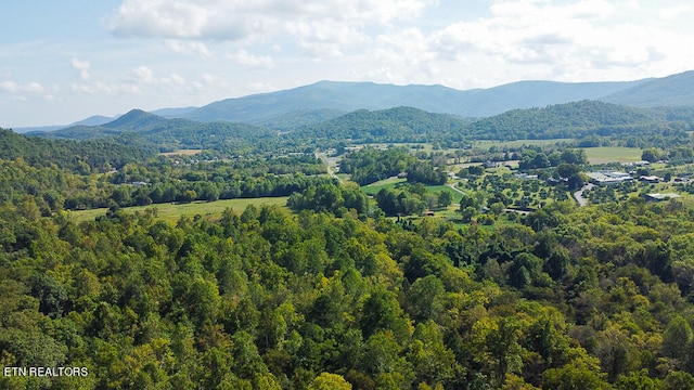 view of mountain feature