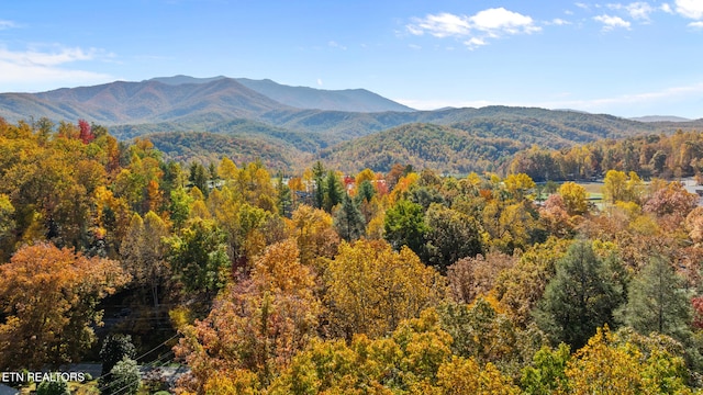 view of mountain feature