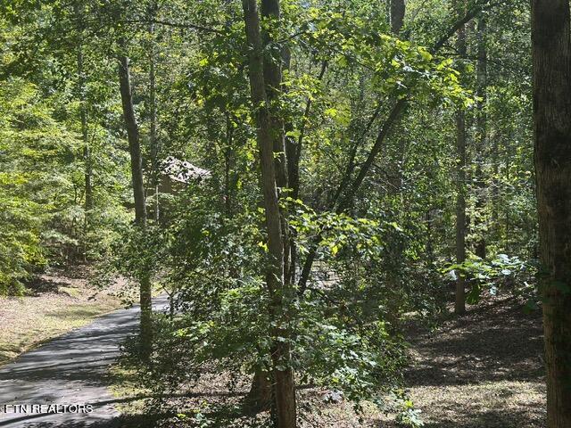 230 Penni Ln, Townsend, TN 37882 - view of woods