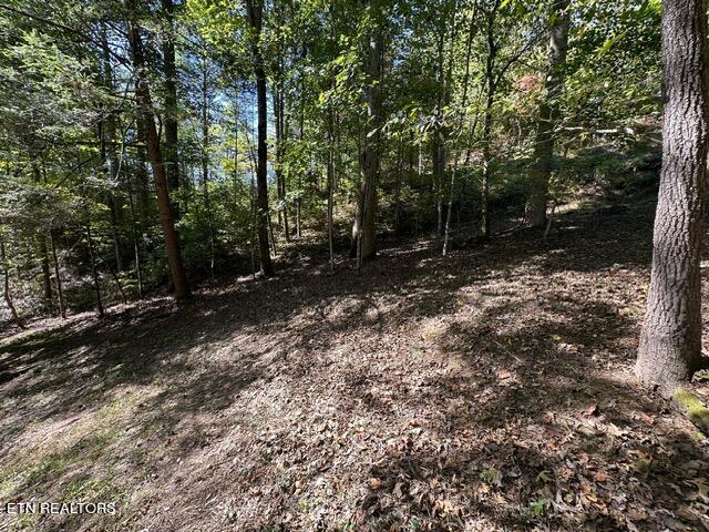 230 Penni Ln, Townsend, TN 37882 - view of wooded area