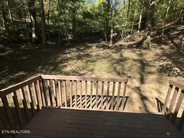230 Penni Ln, Townsend, TN 37882 - view of deck