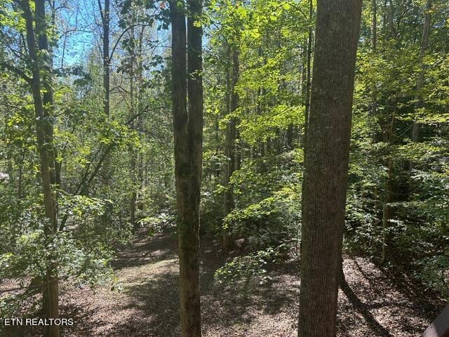 230 Penni Ln, Townsend, TN 37882 - view of woods