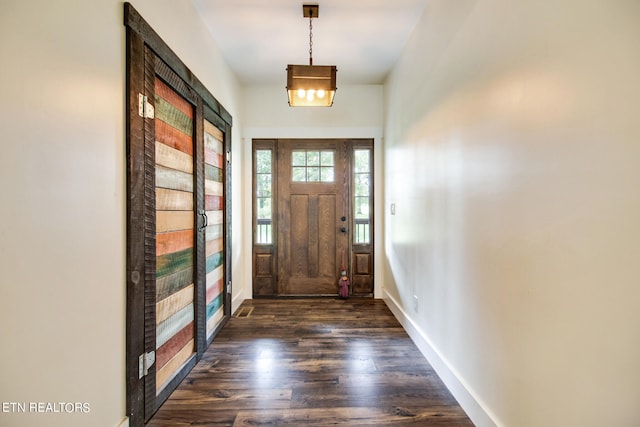 entrance foyer with dark hardwood / wood-style floors