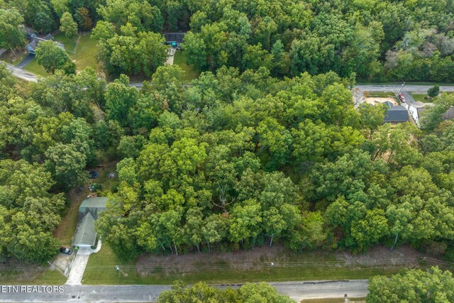 3019 Pomo Cir, Crossville, TN 38572 - photo 25
