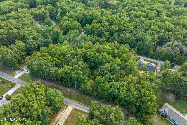 3019 Pomo Cir, Crossville, TN 38572 - photo 28