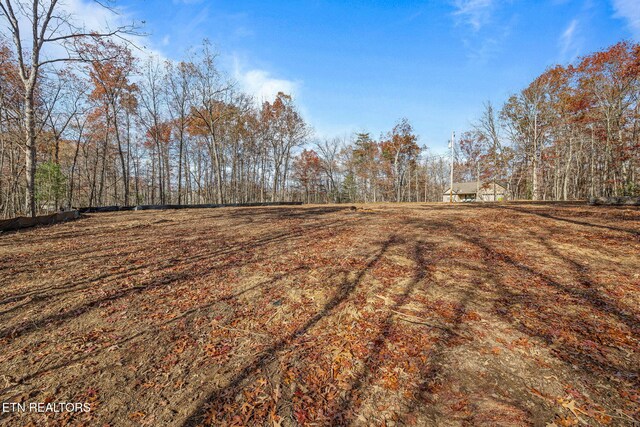 3019 Pomo Cir, Crossville, TN 38572 - photo 17