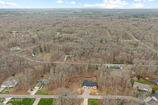 3019 Pomo Cir, Crossville, TN 38572 - photo 8