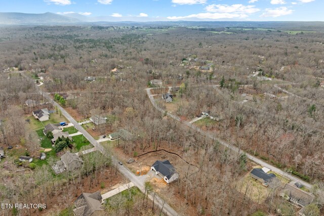 3019 Pomo Cir, Crossville, TN 38572 - photo 9