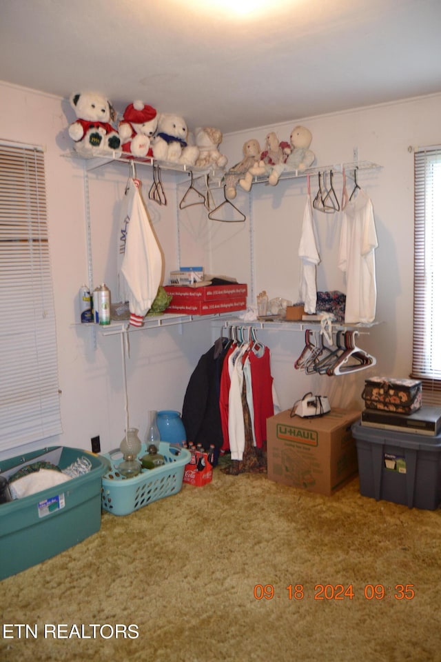 walk in closet featuring carpet