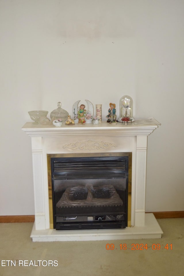 room details featuring carpet flooring