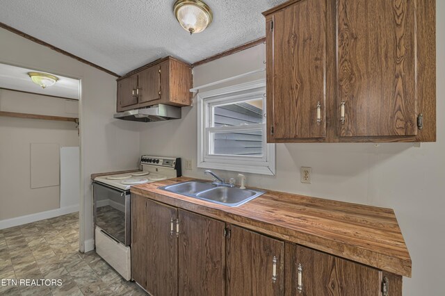 kitchen featuring ornamental molding, sink, vaulted ceiling, and white range with electric stovetop