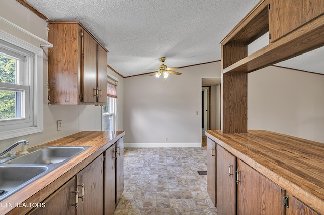 kitchen with butcher block counters, sink, ceiling fan, and crown molding