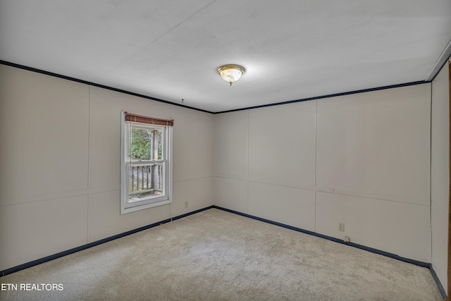 spare room featuring light colored carpet