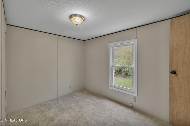 carpeted empty room with a textured ceiling