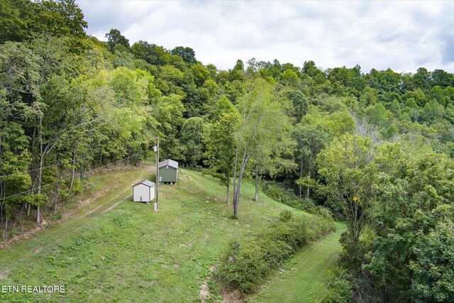 Listing photo 3 for 0 E Gladdice Hwy, Gainesboro TN 38562