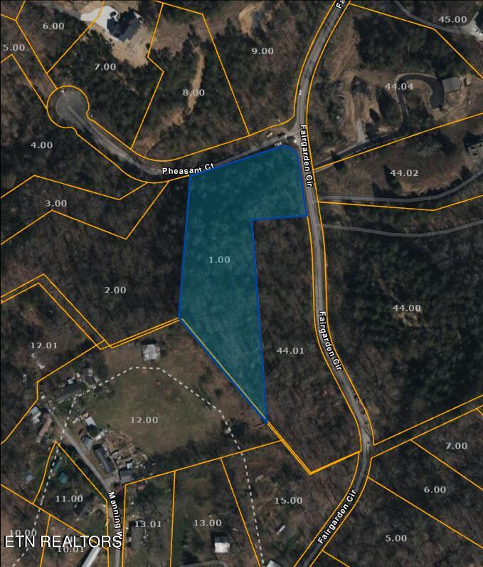 Pheasant Ct, Sevierville, TN 37876 - photo 3