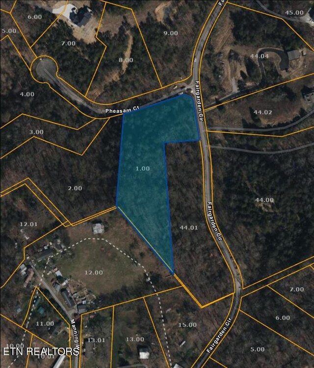 Pheasant Ct, Sevierville, TN 37876 - photo 3