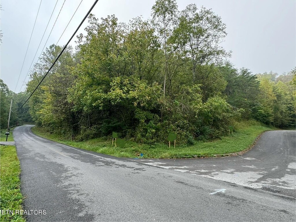 Pheasant Ct, Sevierville, TN 37876 - photo 2